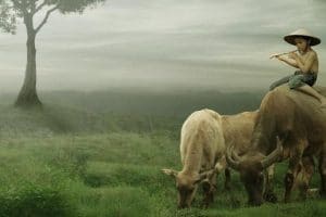artine parikan jawa kebo nusu gudel
