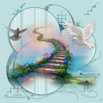 stairway to heaven header by maddie222