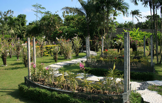 orchid garden tempat wisata di sanur