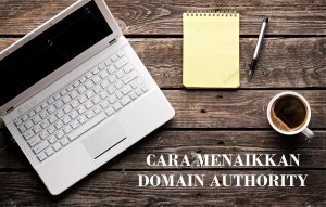 cara meningkatkan domain authority