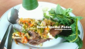 masakan bebek spesial pedas