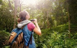 pengertian ekowisata adalah