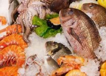 negeri-bahari-konsumsi-ikan di Indonesia rendah
