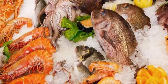negeri-bahari-konsumsi-ikan di Indonesia rendah