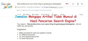 mengapa artikel tidak muncul di hasil pencarian search engine google