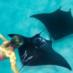 Pilihan Lokasi Snorkeling dan Diving Favorit di Bali
