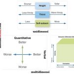 perbedaan skala unidimensi dan multidimensi