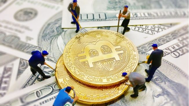 tips investasi bitcoin pemula