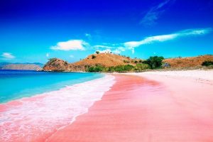 pink beach komodo island