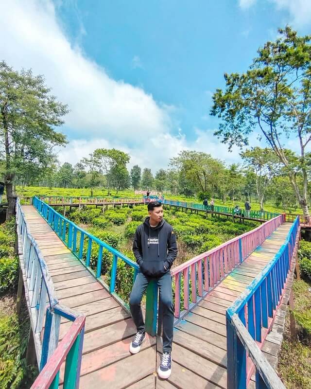 Wisata Malang - Wisata Agro Wonosari