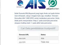 panduan membeli expired domain cek internet positif