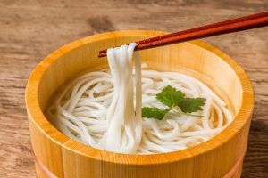 jenis mie jepang udon