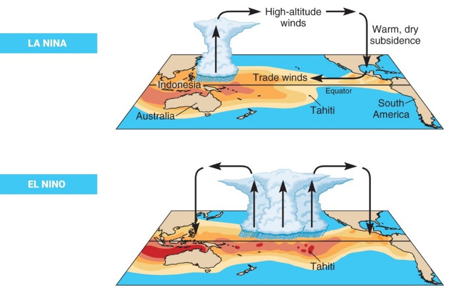 perbedaan el nino dan la nina