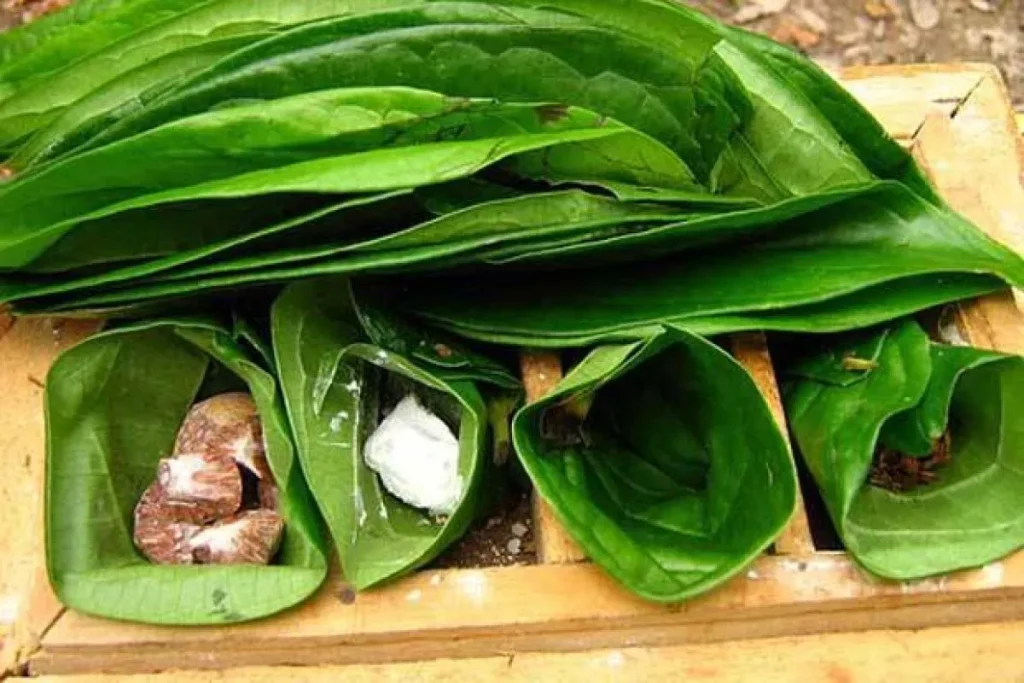 tradisi nginang