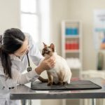 tips mencari layanan dokter hewan terdekat